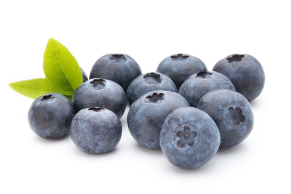 blaubeeren01 bernd haber 600