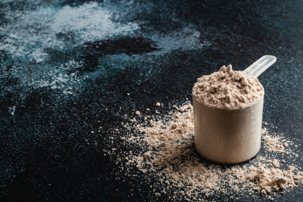 proteinpulver ernaehrungsberatung bernd haber 600