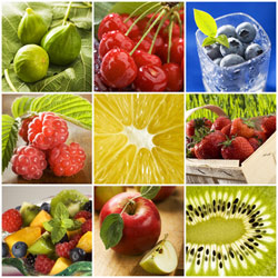 ernaehrung obst 